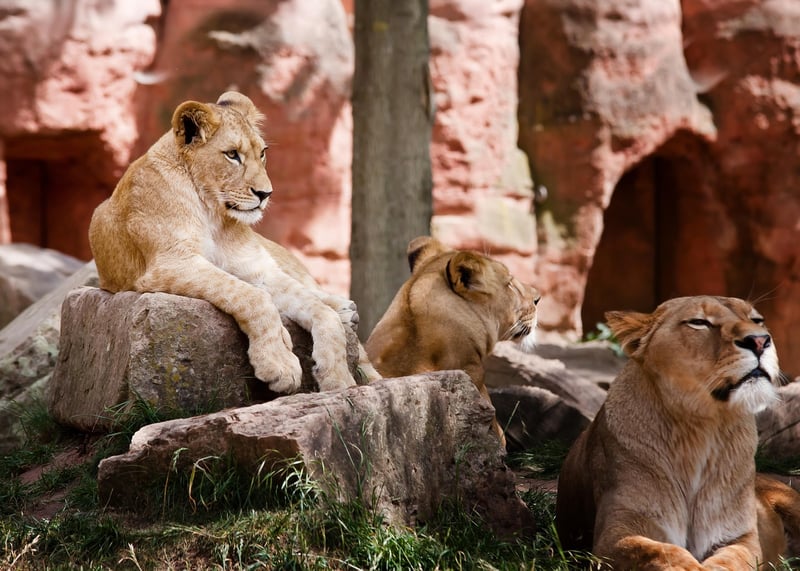Serengeti National Park