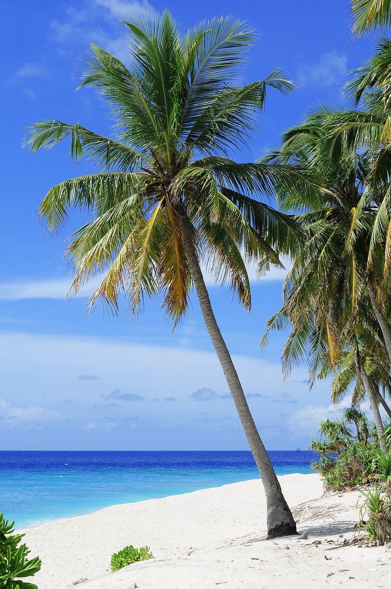 Seychelles Beach